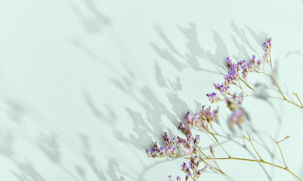 Adelheid_Schmidt-Thome_Autorin_Historikerin_Fuehrungen